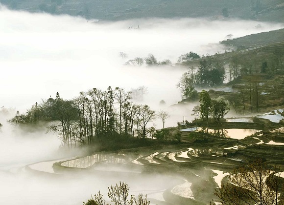 Rizières en terrasses Yunnan