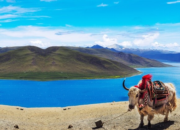 Lac Yamdroktso Shannan