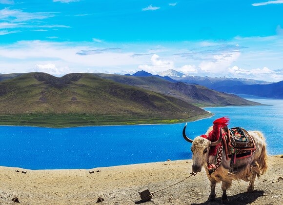 Lac Yamdroktso Shannan