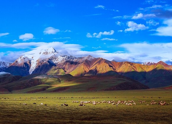 Yanpachen du Tibet